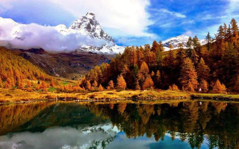 电子网络化科技